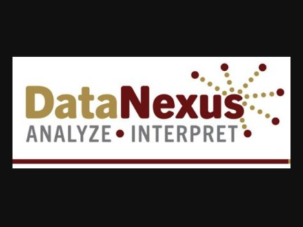 Data Nexus logo